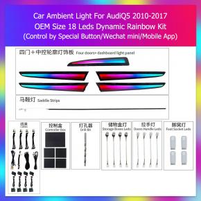 Audi Q5 Ambient lights 