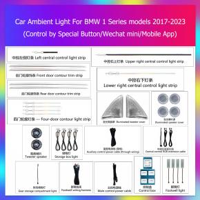 BMW 1 Series ambient light