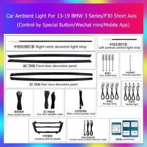 BMW 3 Series/F30 ambient light