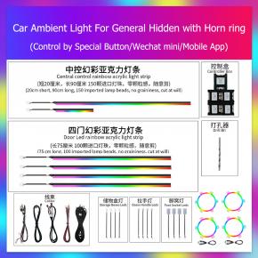 General Hidden with Horn ring
